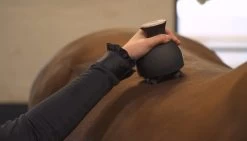 Grooming & Relaxation Brush IRHVolta 13 Grooming & Relaxation Brush IRHVolta -Equestrian Supplies Shop Layer 2 processed 1280x1280