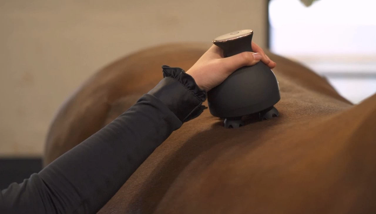 Grooming & Relaxation Brush IRHVolta 8 Grooming & Relaxation Brush IRHVolta - Image 6