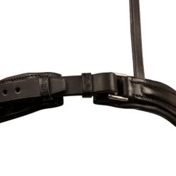 Bridle Leitrim, Swedish Combined, With Slide&Lock -Equestrian Supplies Shop Leitrim spezial schwarz RH2 processed 1280x1280