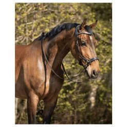 Bitless Bridle Anatomical, With Reins 11 Bitless Bridle Anatomical, With Reins -Equestrian Supplies Shop PresTeq Gebisslos Trense Anatomical schwarz 3 processed 1280x1280