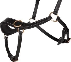 Bitless Bridle Anatomical, With Reins 9 Bitless Bridle Anatomical, With Reins -Equestrian Supplies Shop PresTeq Gebisslos Trense Anatomical schwarz 5 processed 1280x1280