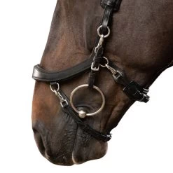 Anatomical Special Bridle FaySport, Without Reins -Equestrian Supplies Shop PresTeq Trense FaySport Black 2 1280x1280