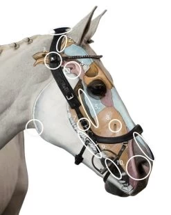 Anatomical Special Bridle FaySport, Without Reins -Equestrian Supplies Shop PresTeq Trense FaySport Black 3 1280x1280