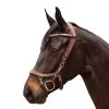 Anatomical Special Bridle FaySport, Without Reins -Equestrian Supplies Shop PresTeq Trense FaySport Brown 1 1280x1280