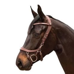 Anatomical Special Bridle FaySport, Without Reins
