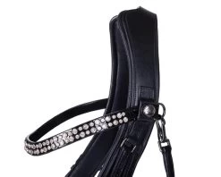 Double Bridle FayPerform Shine, With Swedish Noseband 10 Double Bridle FayPerform Shine, With Swedish Noseband -Equestrian Supplies Shop Presteq Kandare Fayperform Shine 3 processedNnZTFtilNAXQS 1280x1280