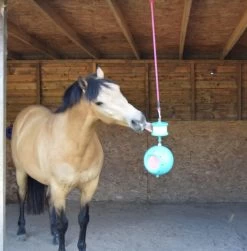 Likit Boredom Breaker 7 Likit Boredom Breaker -Equestrian Supplies Shop Prince Boredom Breaker 1280x1280