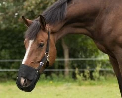 Grazing Muzzle With Nostrils -Equestrian Supplies Shop QHP Fressbremse 5153 schwarz 2 1280x1280