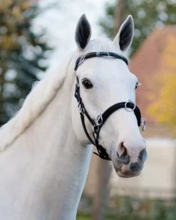 Leather Cavesson -Equestrian Supplies Shop QHP Kappzaum Leder 1699 8XyzBQaV6wbJDg 1280x1280