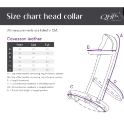 Leather Cavesson -Equestrian Supplies Shop QHP Kappzaum Leder 1699 GrossentabelleTirPTA89qkuGe 1280x1280