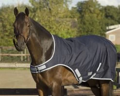 Walker Rug, 0 G -Equestrian Supplies Shop QHP Fuhrmaschinendecke 0g 2 processed0ujjq7lqzQPfa 1280x1280
