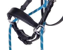 Bitless Bridle Thunderbolt With Reins -Equestrian Supplies Shop QHP Trense Gebisslos Thunderbolt deeplake 3 processed 1280x1280