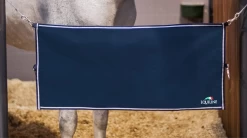 Stable Guard Pit Door Lock -Equestrian Supplies Shop Stable Guardi0uU5NBZGnaLe 1280x1280