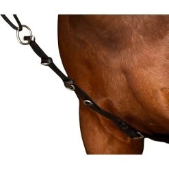 Chambon IRHCore 11 Chambon IRHCore -Equestrian Supplies Shop TE76223004 Chambon IRHCore4 processed 1280x1280