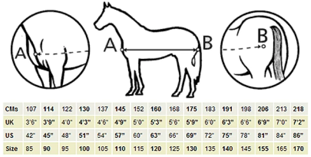 Therapy Quarter Rug, Riding Rug 4 Therapy Quarter Rug, Riding Rug - Image 2