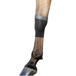Kentucky Horsewear Kentucky Bandage Stocking Tendon Grip Gel -Equestrian Supplies Shop Tendon Grip Gel 3freiomeOcDIVl9xZA 1280x1280
