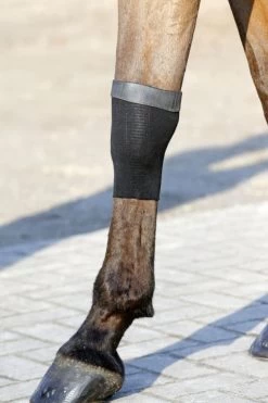 Kentucky Horsewear Kentucky Bandage Stocking Tendon Grip Gel -Equestrian Supplies Shop Tendon Grip Gel 3ySiNp6rE2rh8n 1280x1280
