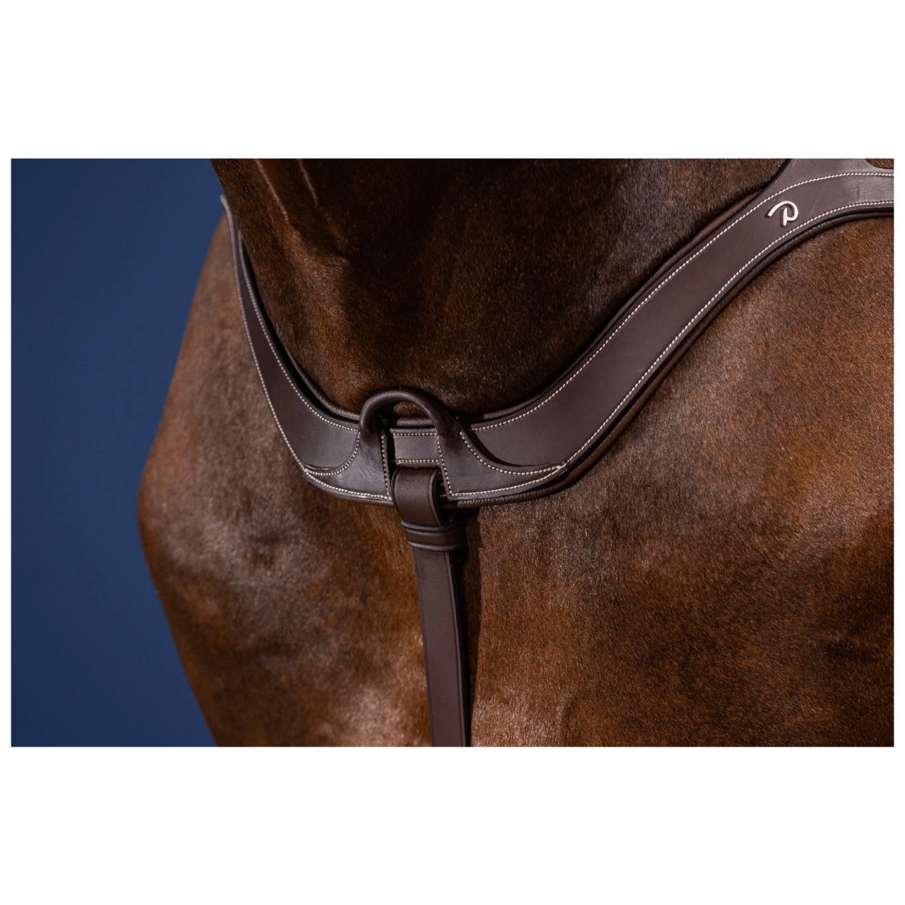 Anatomical Breastplate US Collection 3 Anatomical Breastplate US Collection