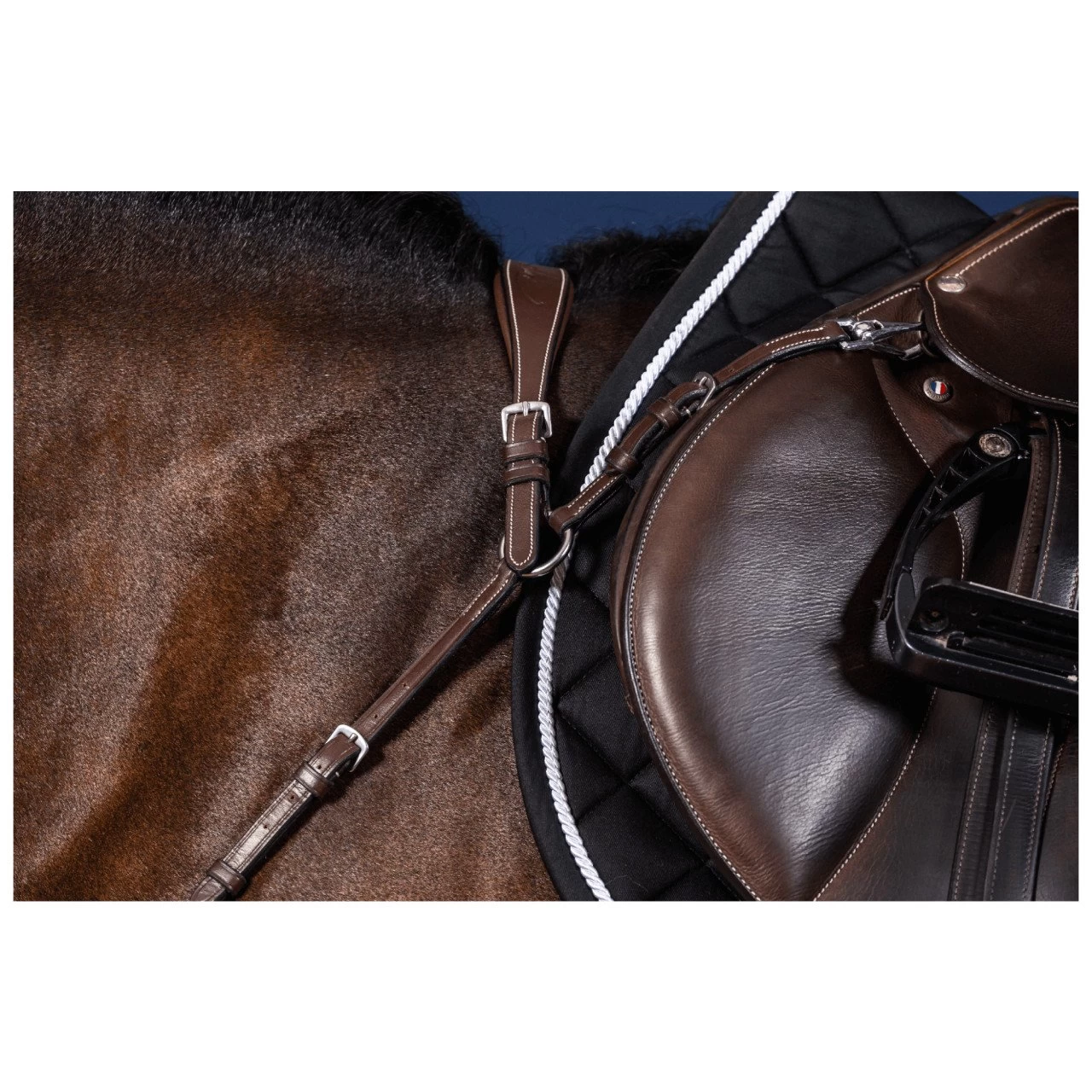 Anatomical Breastplate US Collection 4 Anatomical Breastplate US Collection - Image 2