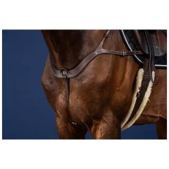 Anatomical Breastplate US Collection 11 Anatomical Breastplate US Collection -Equestrian Supplies Shop US06BBR processed 1 1280x1280