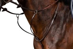 Running Martingale HC