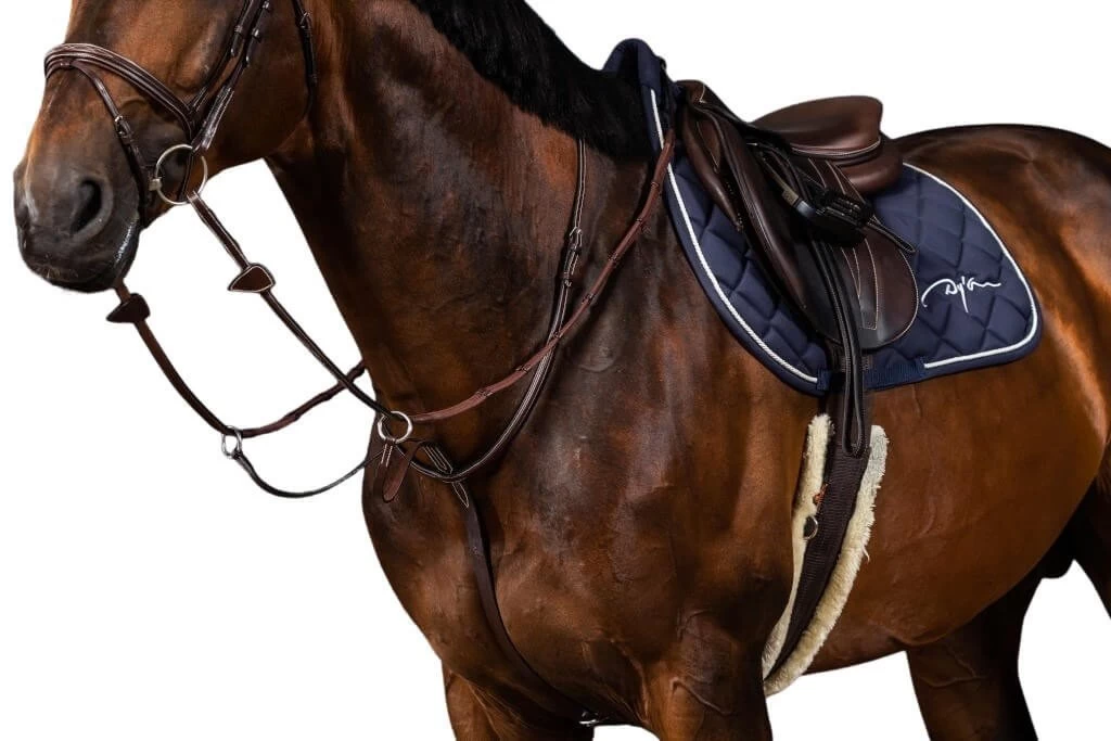 Running Martingale HC 4 Running Martingale HC - Image 2