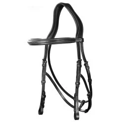 Hackamore Bridle US Collection