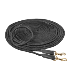 Waldhausen Double Lunge