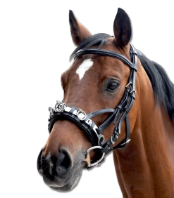 Waldhausen Cavesson, Leather, Including Bit Strap