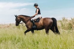 Chaps Classic Comfort Standard, Mini Chaps, Leather Chaps -Equestrian Supplies Shop dyon chaps clasic comfort black lifestyle 6 1280x1280