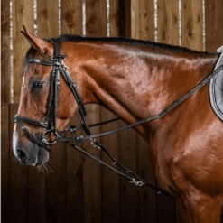 Gogue Auxiliary Reins WC