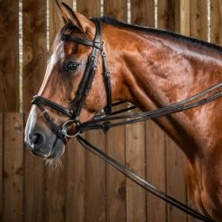 Hunter Draw Reins WC