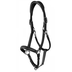 Leather Transport And Stable Headcollar WC