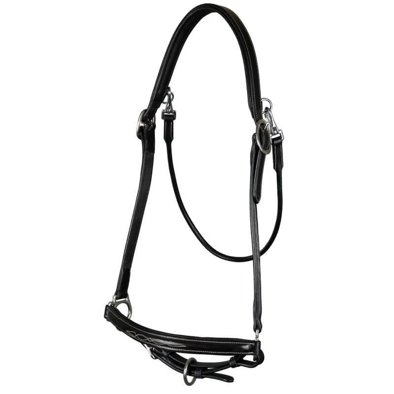 Leather Grooming Headcollar WC 3 Leather Grooming Headcollar WC