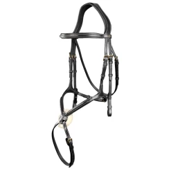 Grackle Bridle DC