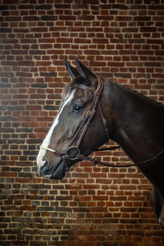 Bridle Rope Drop DC With Rope Halter 4 Bridle Rope Drop DC With Rope Halter - Image 2