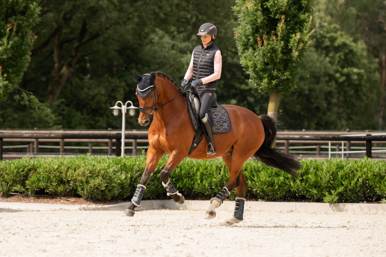 Saddle Pad Glossy Heritage 23/24, Dressage Saddle Pad 4 Saddle Pad Glossy Heritage 23/24, Dressage Saddle Pad - Image 2