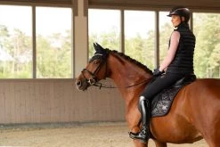 Saddle Pad Glossy Heritage 23/24, Dressage Saddle Pad 7 Saddle Pad Glossy Heritage 23/24, Dressage Saddle Pad -Equestrian Supplies Shop esk 0223 kam 213756 445 380 processed 1280x1280