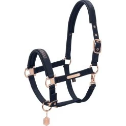 Halter Pin Buckle Heritage 23/24