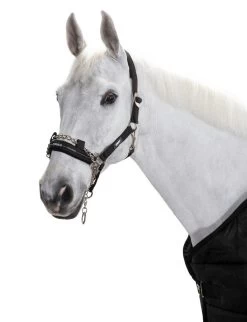 Headcollar Control Sliding Buckle