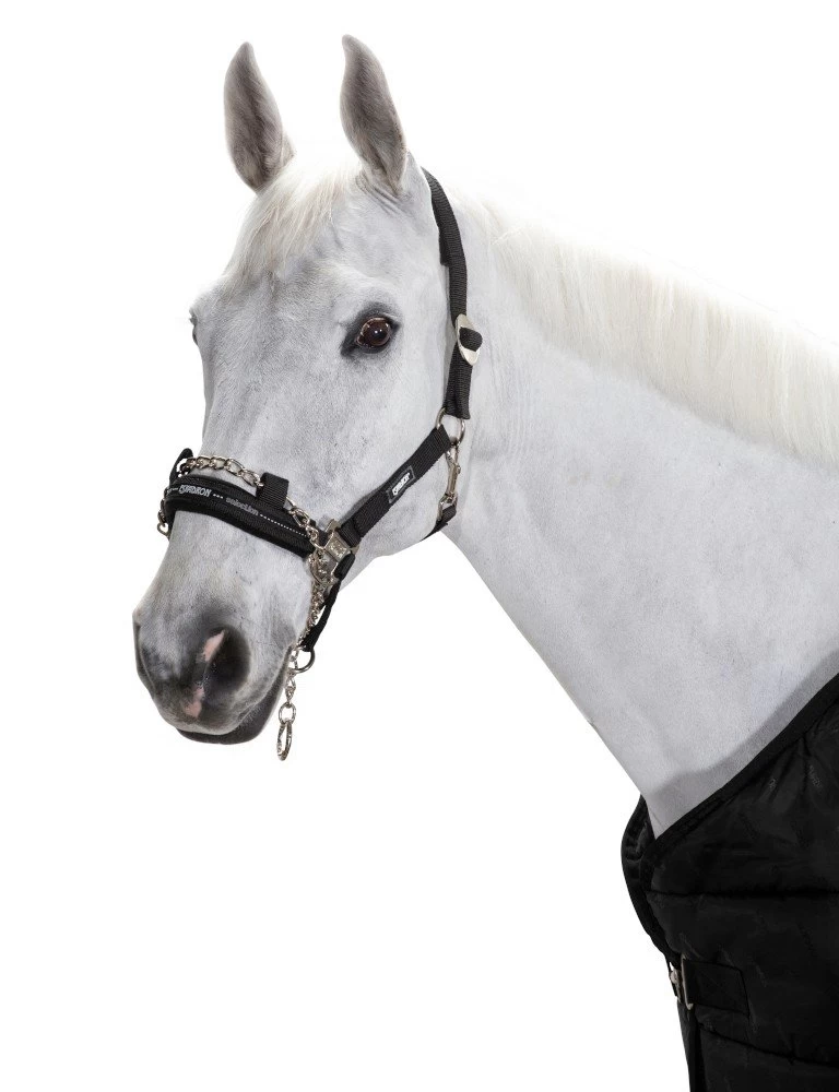 Headcollar Control Sliding Buckle 3 Headcollar Control Sliding Buckle