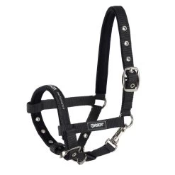 Headcollar Basics, Foal Halter, Nylon Halter