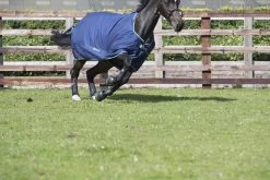 Grafter Brushing Boots -Equestrian Supplies Shop grafter black 2 1280x1280