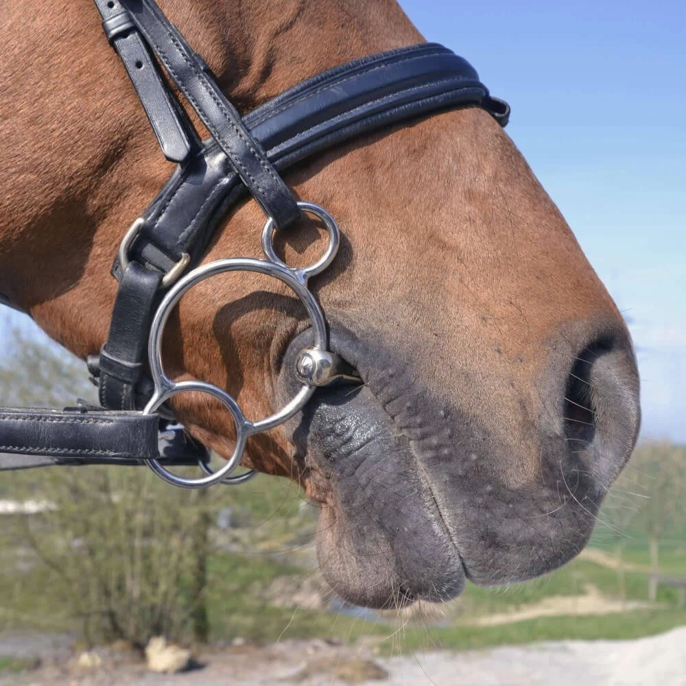 KK Ultra Universal 3-Ring Bit 6 KK Ultra Universal 3-Ring Bit - Image 4