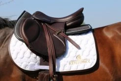 Kentucky Horsewear Saddle Pad Absorb Anatomic 8 Kentucky Horsewear Saddle Pad Absorb Anatomic -Equestrian Supplies Shop img 1665 1280x1280