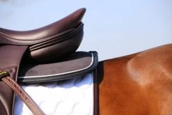 Kentucky Horsewear Saddle Pad Absorb Anatomic 9 Kentucky Horsewear Saddle Pad Absorb Anatomic -Equestrian Supplies Shop img 1667 1280x1280