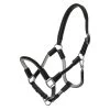 Rope Halter Cavo, With Lead Rope