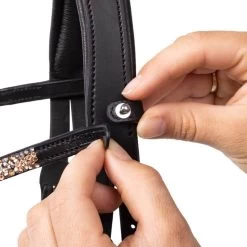 Browband Button, Curved -Equestrian Supplies Shop kavalkade stirnband button 4 1280x1280