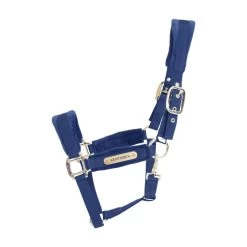 Kentucky Horsewear Halter Velvet