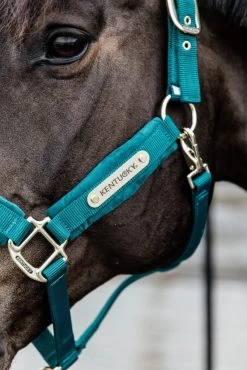 Kentucky Horsewear Halter Velvet 9 Kentucky Horsewear Halter Velvet -Equestrian Supplies Shop kentucky halfter velvet smaragd 4 1280x1280